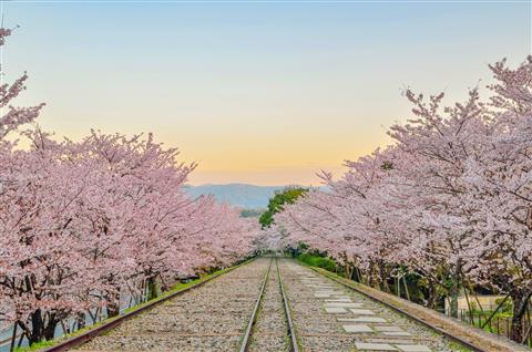 蹴上インクライン